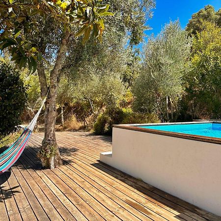Glamping Do Ze Ξενοδοχείο Cernache do Bonjardim Εξωτερικό φωτογραφία