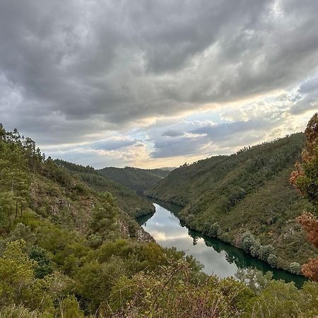 Glamping Do Ze Ξενοδοχείο Cernache do Bonjardim Εξωτερικό φωτογραφία
