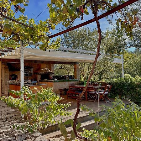 Glamping Do Ze Ξενοδοχείο Cernache do Bonjardim Εξωτερικό φωτογραφία