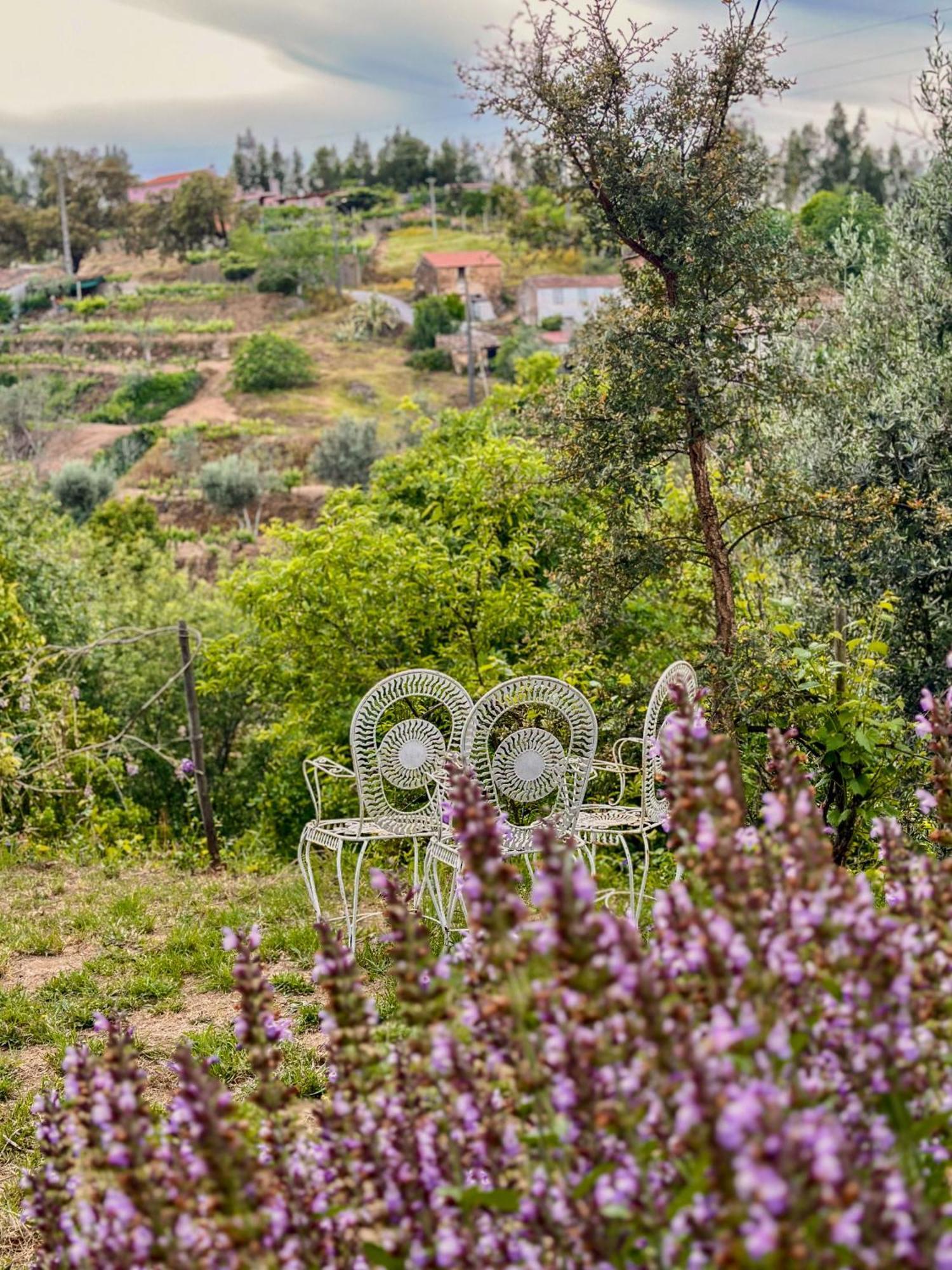 Glamping Do Ze Ξενοδοχείο Cernache do Bonjardim Εξωτερικό φωτογραφία