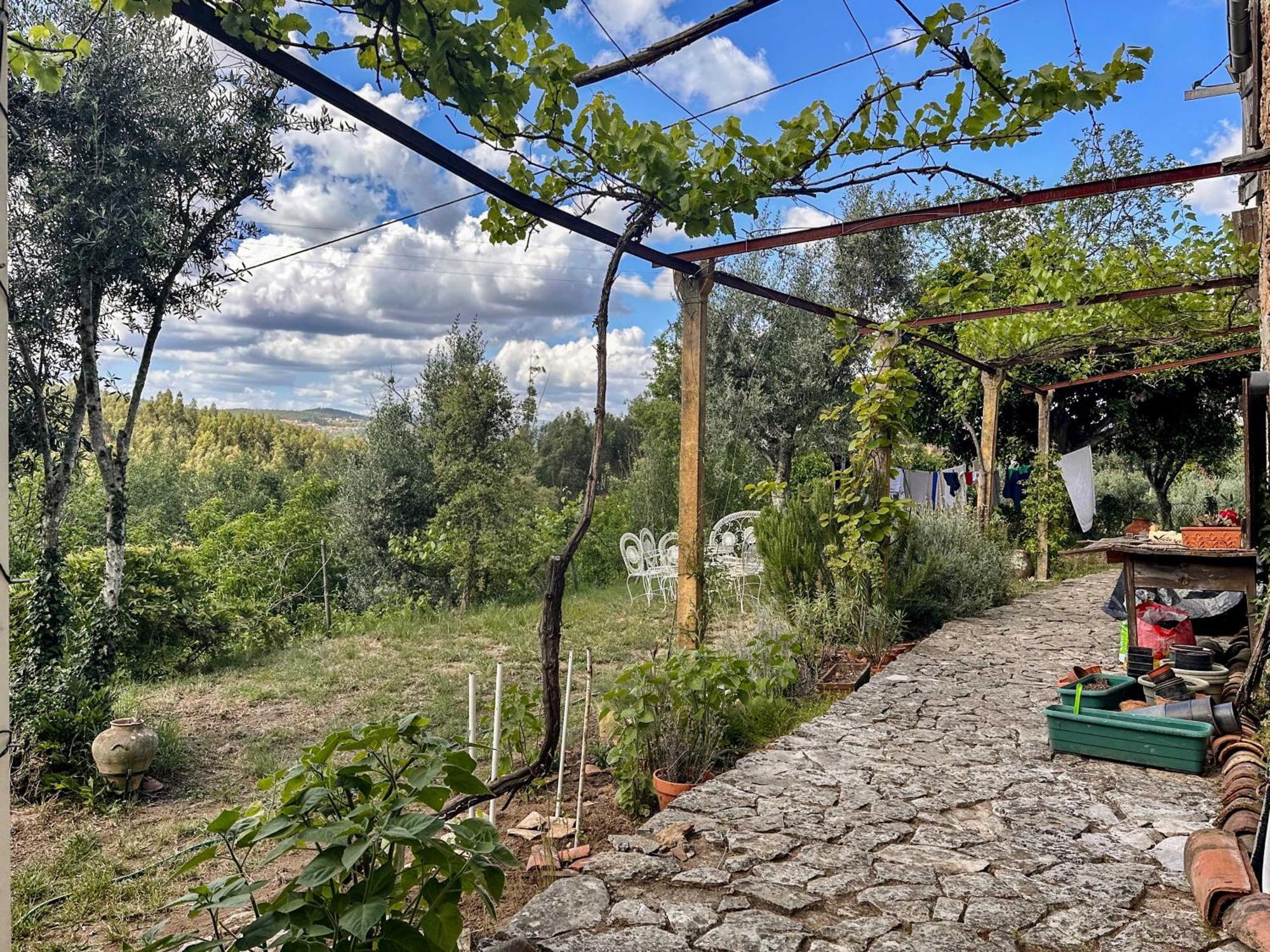 Glamping Do Ze Ξενοδοχείο Cernache do Bonjardim Εξωτερικό φωτογραφία