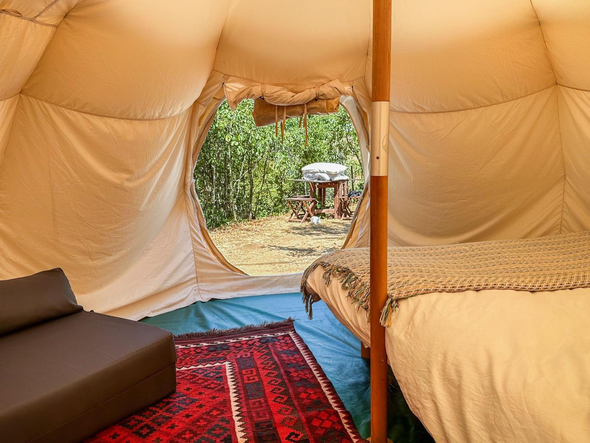 Glamping Do Ze Ξενοδοχείο Cernache do Bonjardim Εξωτερικό φωτογραφία